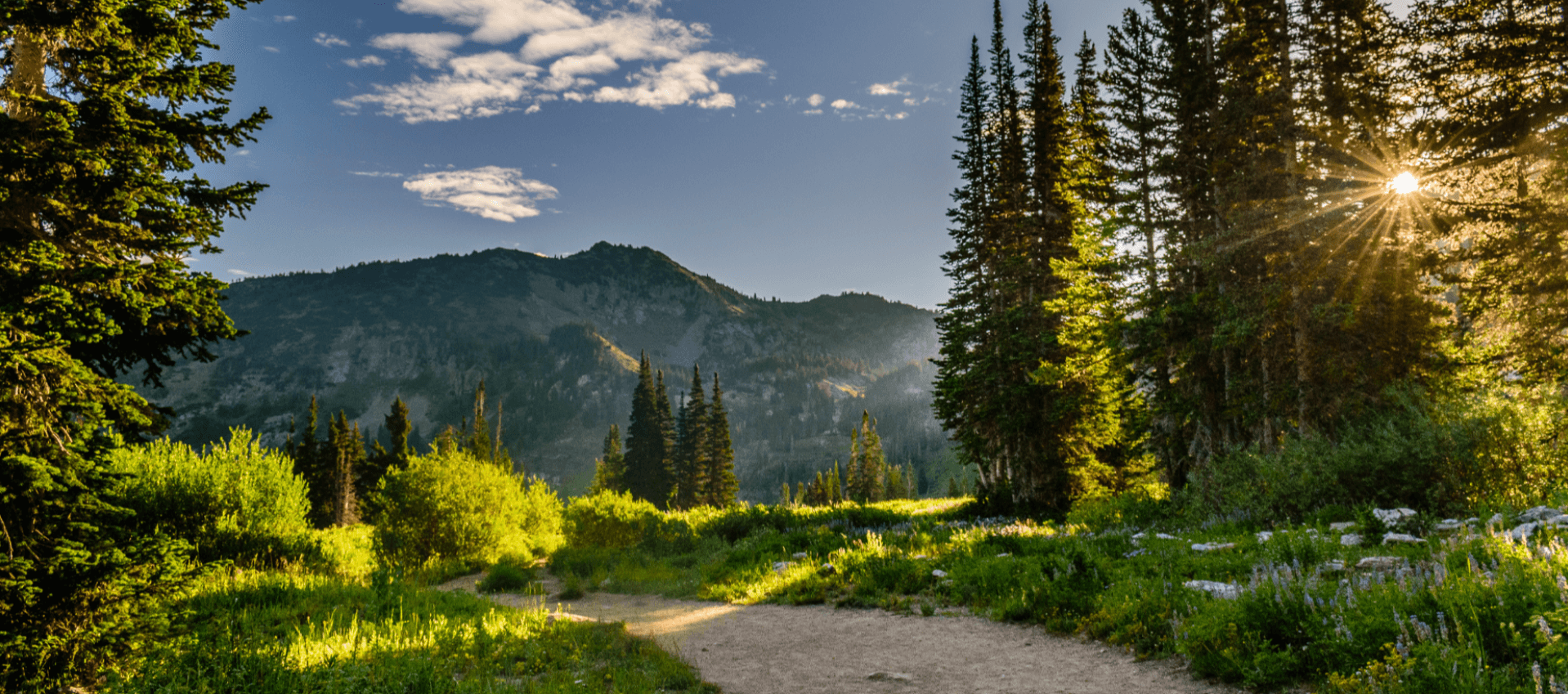 計(jì)量檢測(cè)